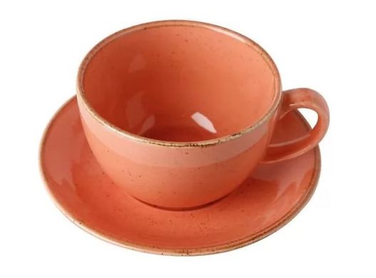 Чашка чайная 320 мл с блюдцем Porland Seasons Orange
